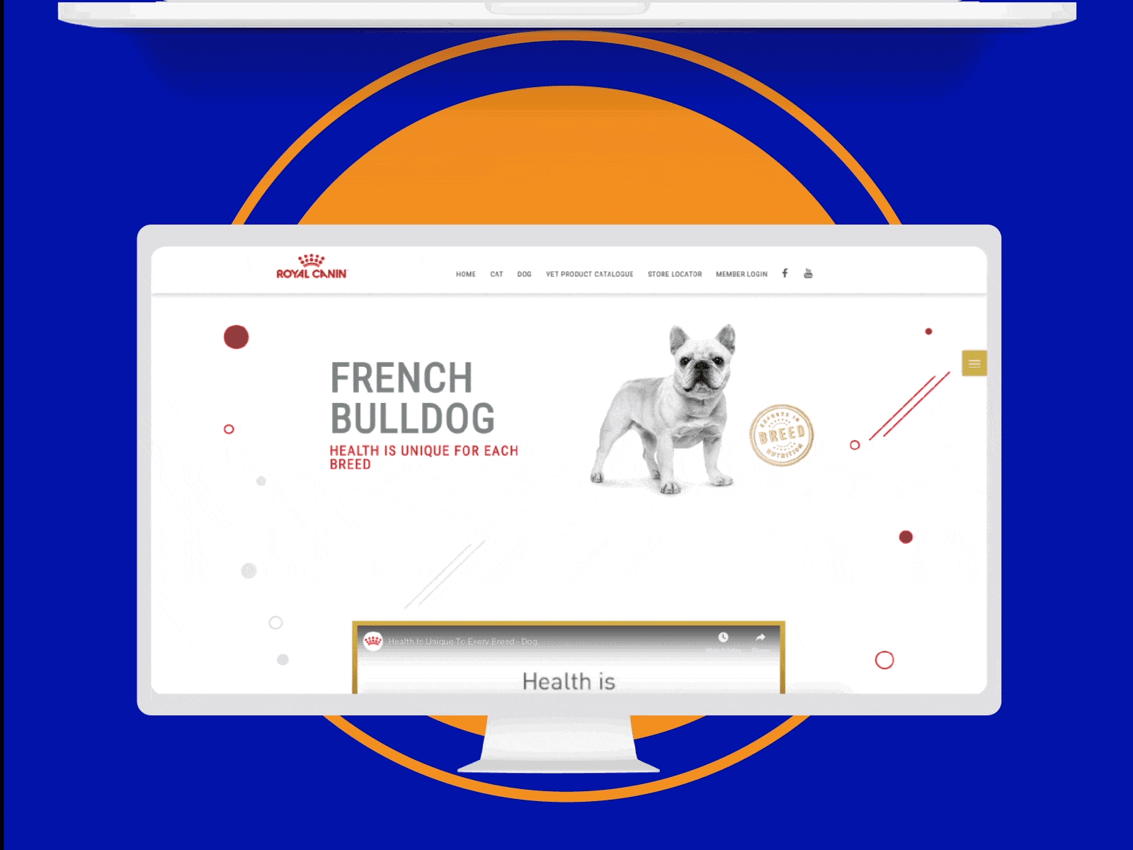 Royal Canin breed campaign microsite responsive design animated transformation view on desktop, mobile and tablet